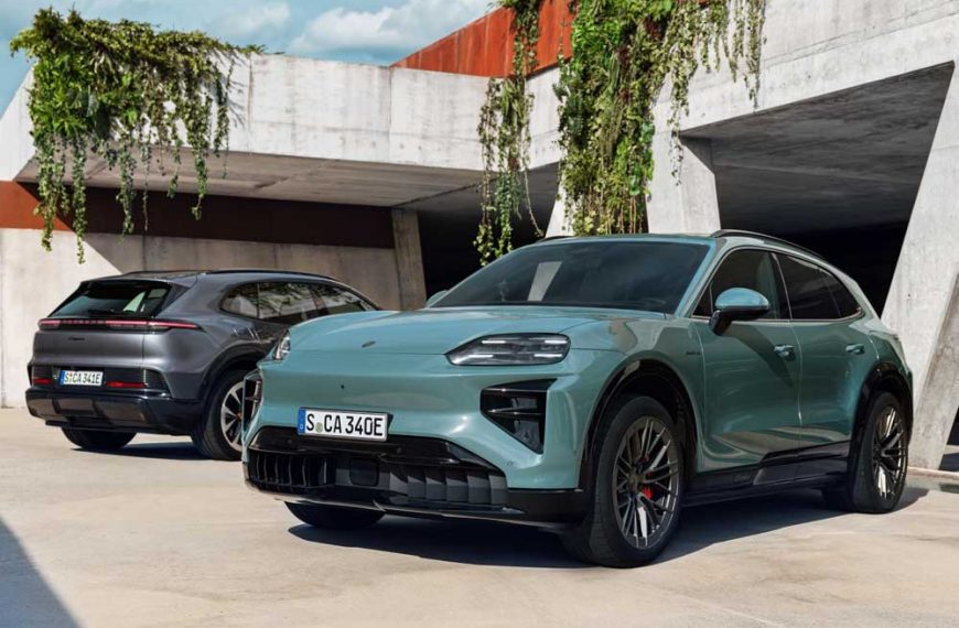 Zwei Cayenne Electric