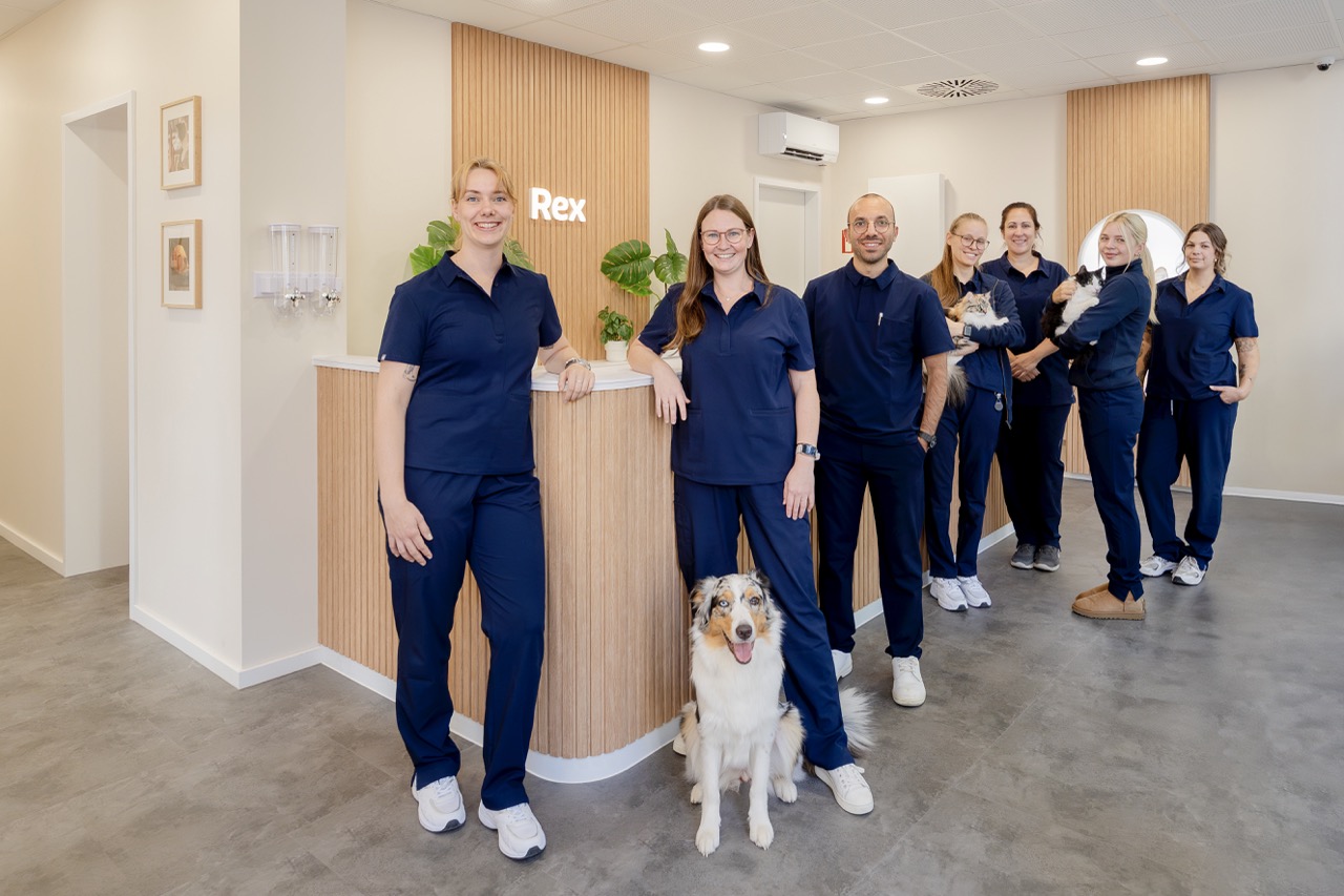 Digitale Arztpraxis will Versorgungslücke in Düsseldorf füllen