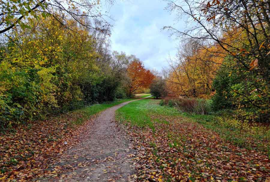 Grünanlage an der Kesselstraße