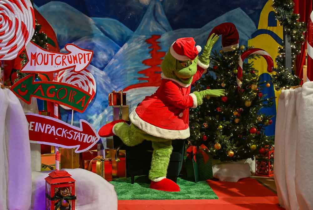 Grinch Köstum