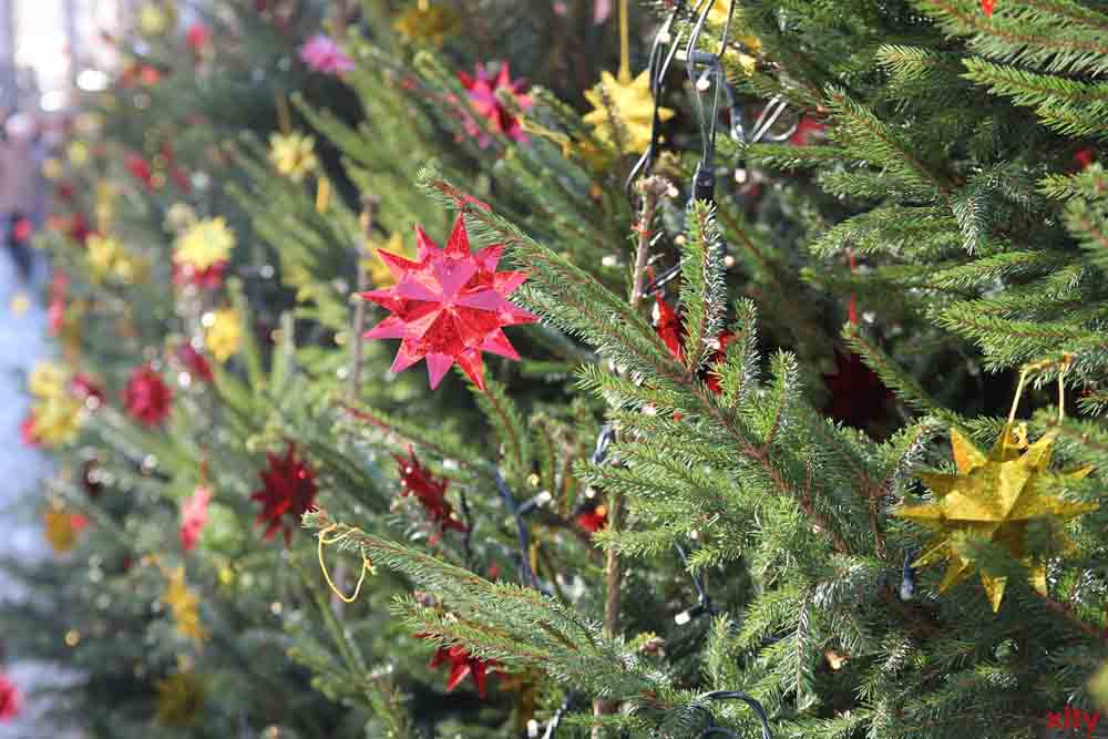 Tanne mit Schmuck