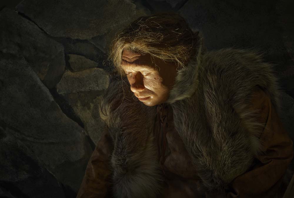 Sauerland-Museum Neandertalerin