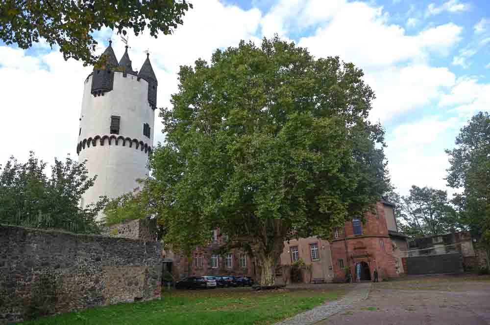 Schlosshof von Schloss Steinheim