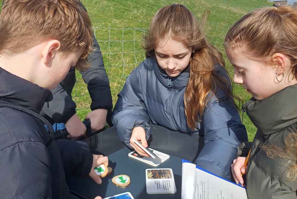 Am Deponie-Erlebnispfad der awm erforschen Schülerinnen und Schüler ab der dritten Klasse die Zusammenhänge zwischen Abfall, Energie und Klima