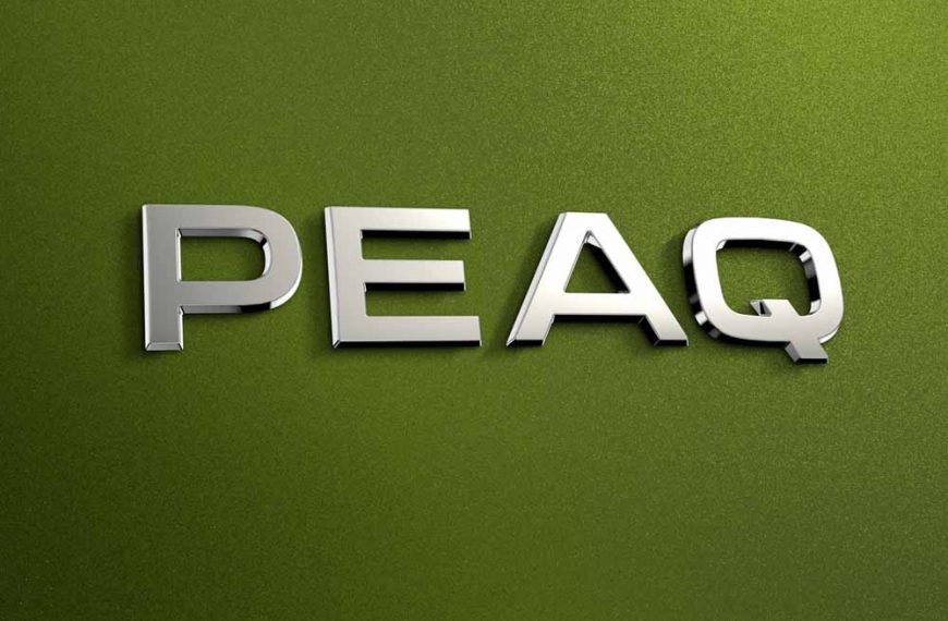 Logo Skoda Peaq