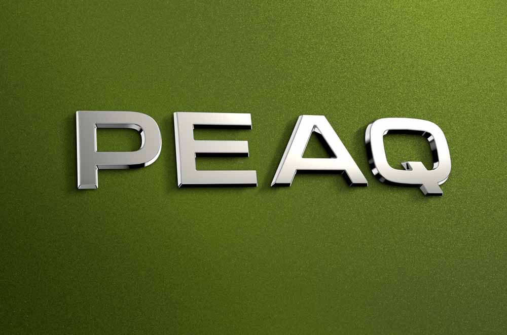 Logo Skoda Peaq