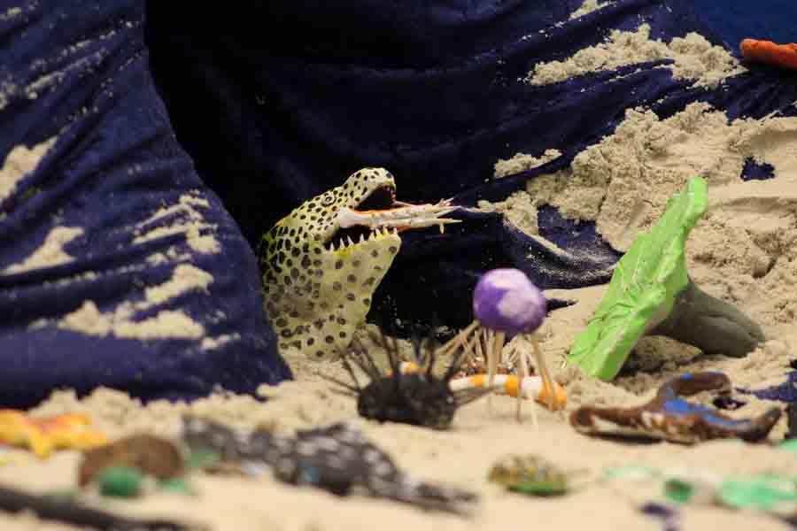 Modelliertes Korallenriff