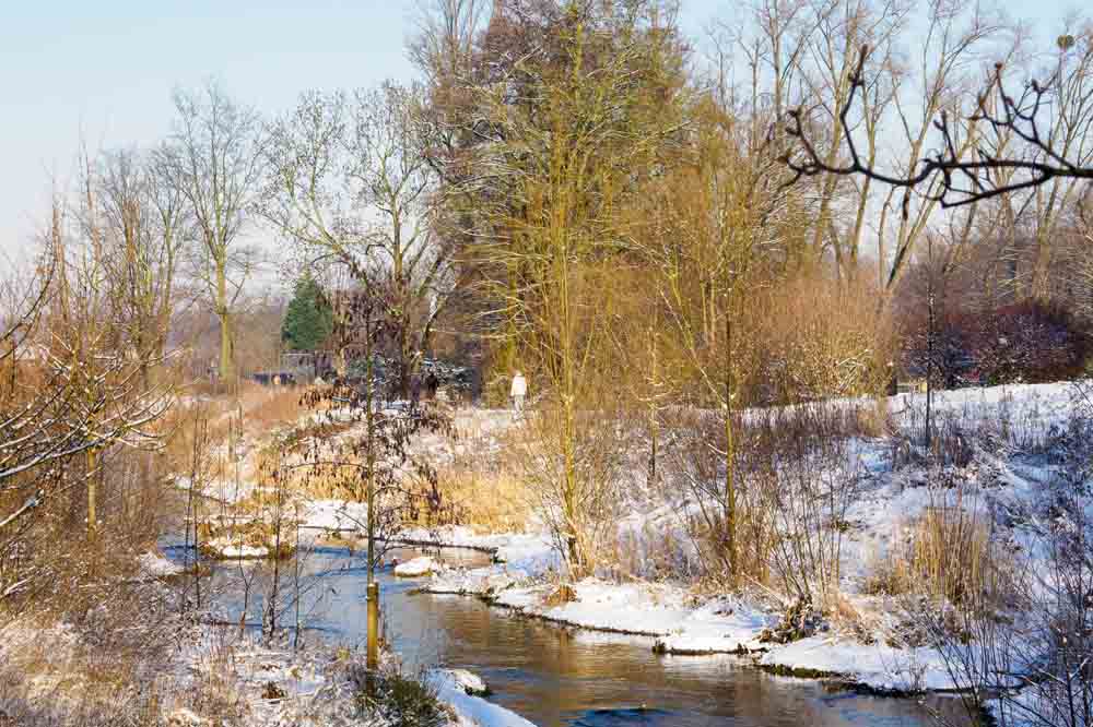Motive entlang der Südlichen Düssel
