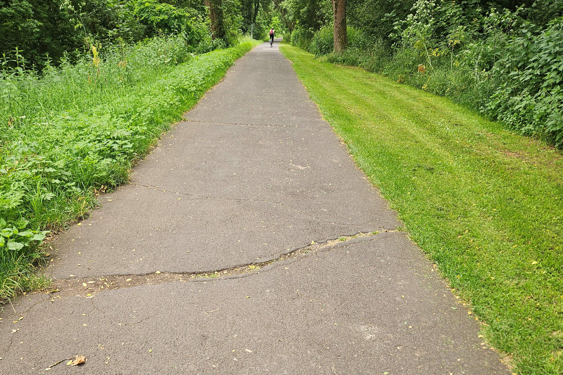 Wegesanierung im Hain in Bamberg wird fortgesetzt