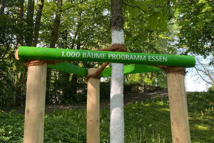 Zukunftsbaum in Essen