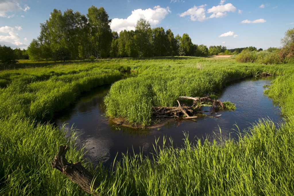 Berliner Naturschutztag 2026_CC Florian Möllers