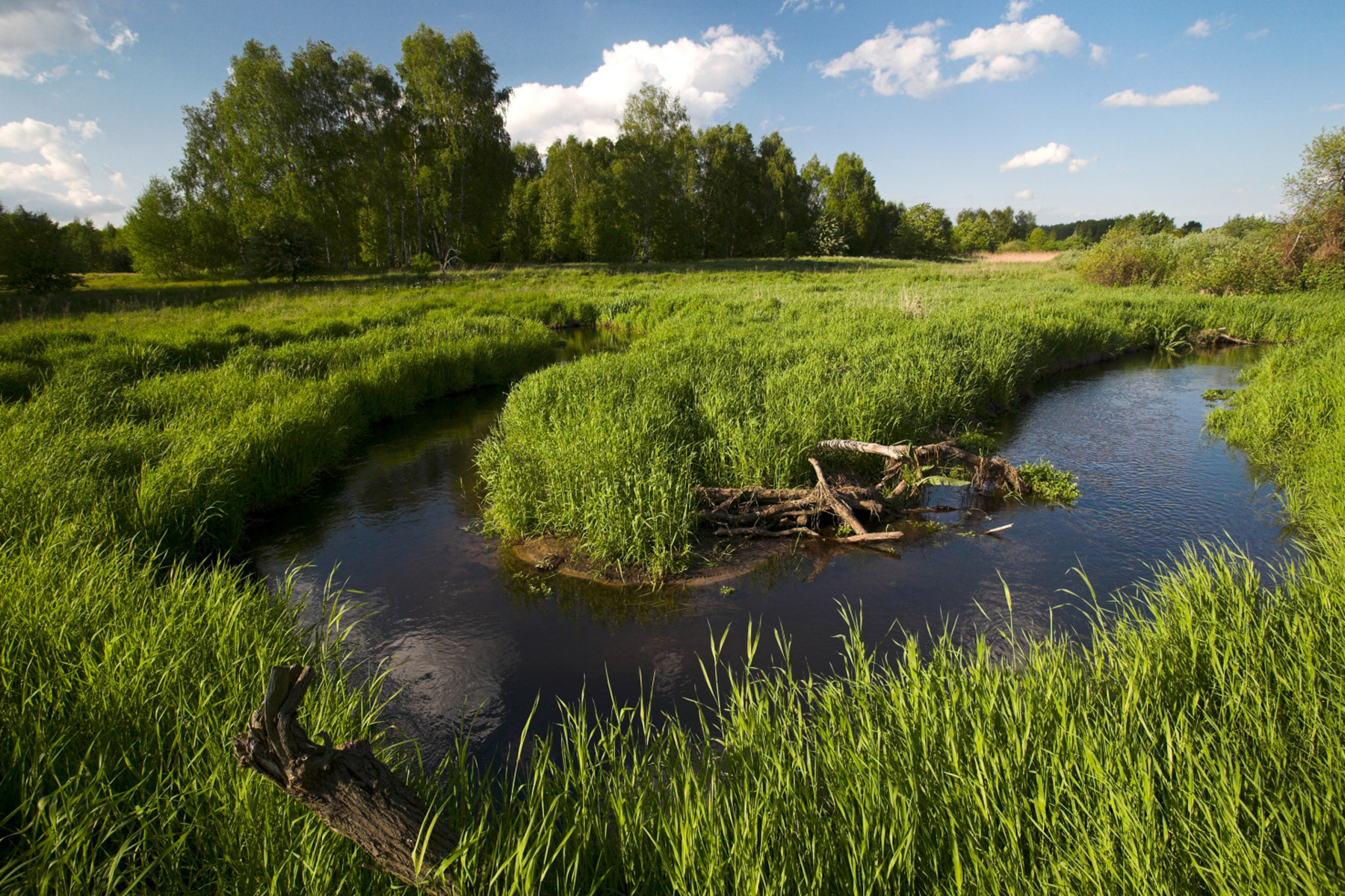 Berliner Naturschutztag 2026_CC Florian Möllers