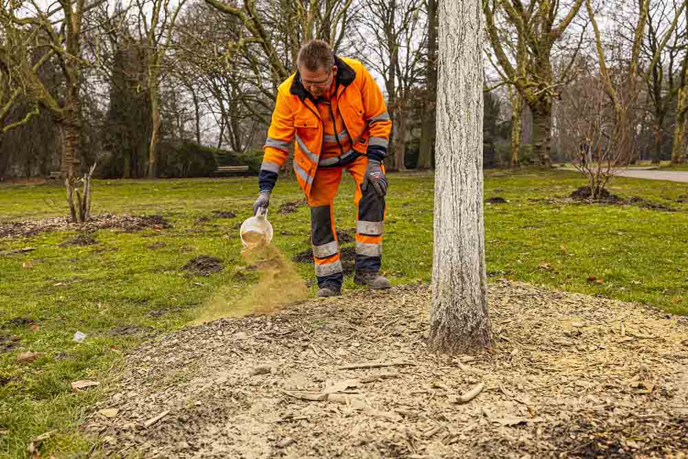 Baum wird gedüngt