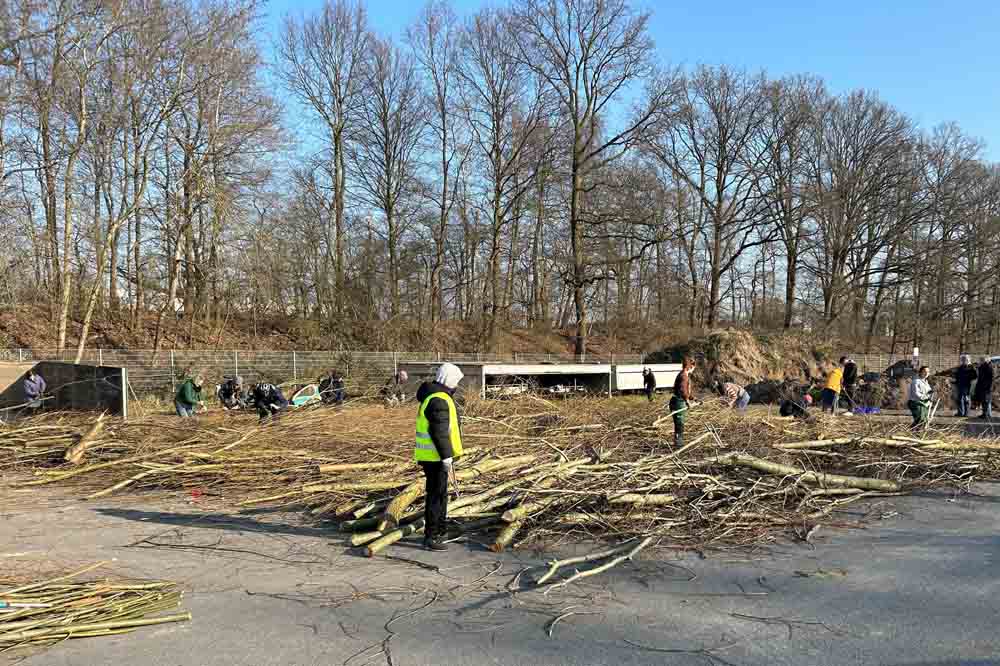 Weidenmaterial auf dem städtischen Betriebshof am Höltenweg