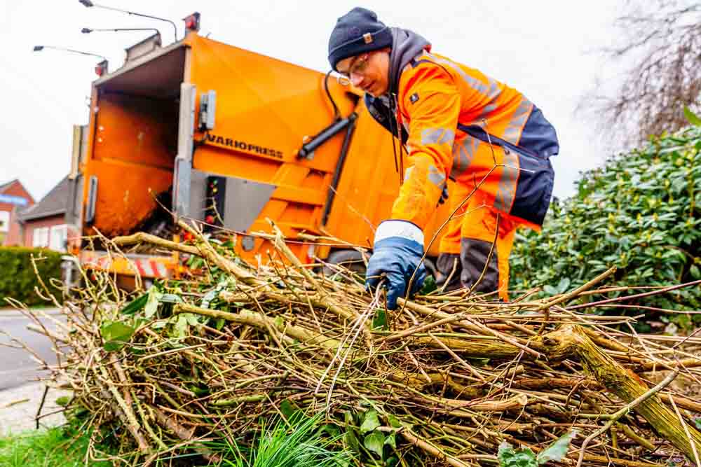 Abfuhr von Baum- und Strauchschnitt