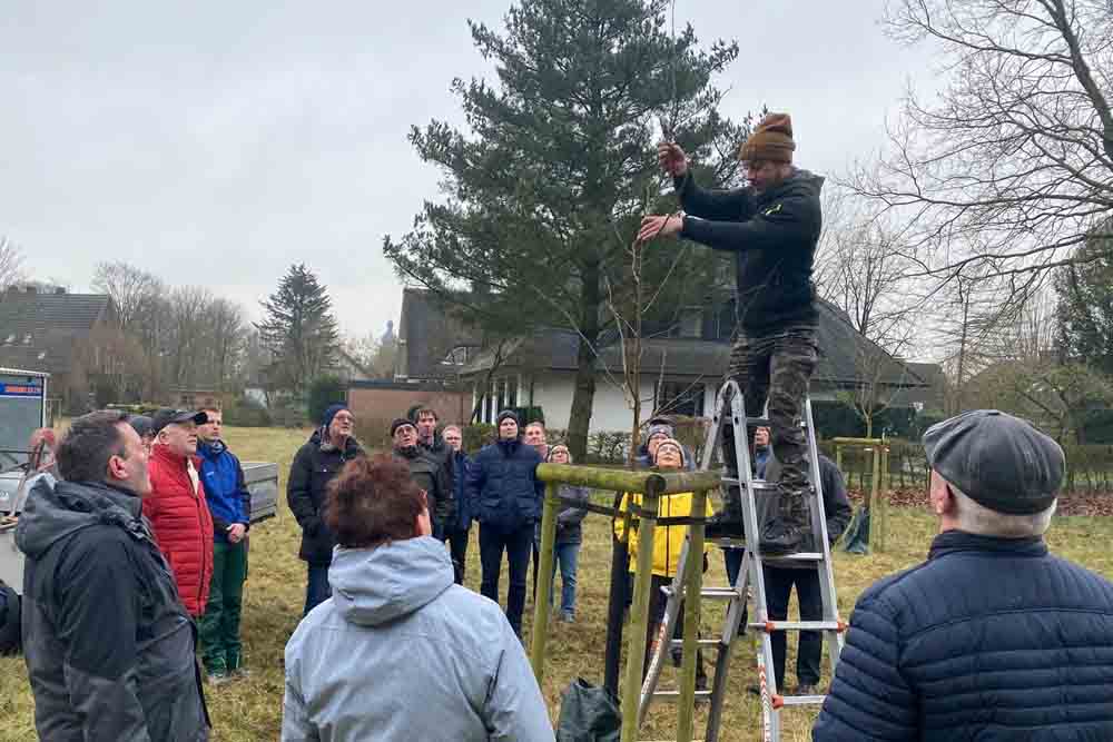 Obstbaumschnittaktion auf der Streuobstwiese
