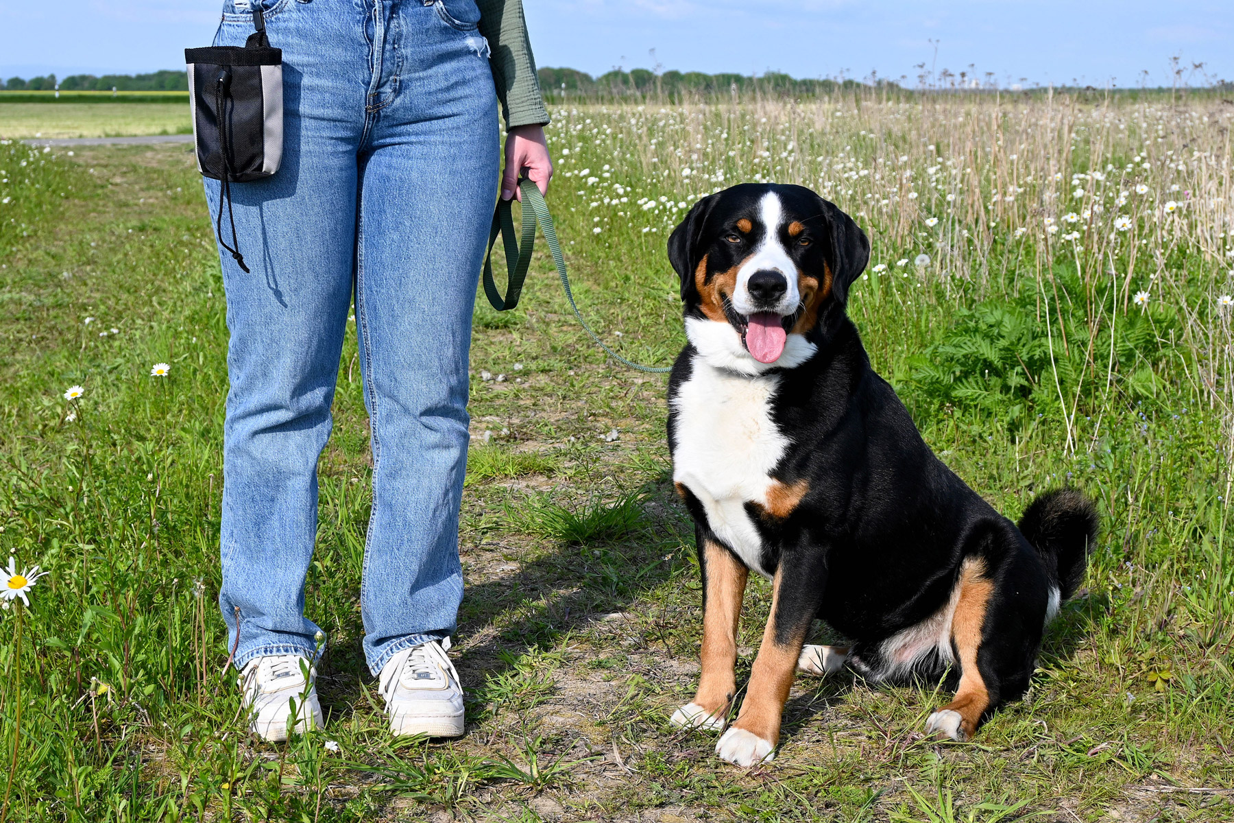 Anleinpflicht in Soester Naturschutzgebiten_CC Kira Hönicke