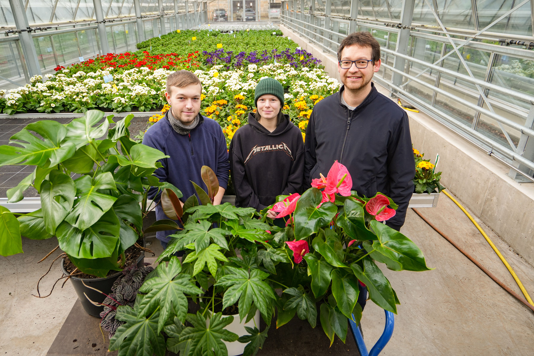 Bayreuths Gartentipps im Februar: „Tropenfeeling“ Zuhause