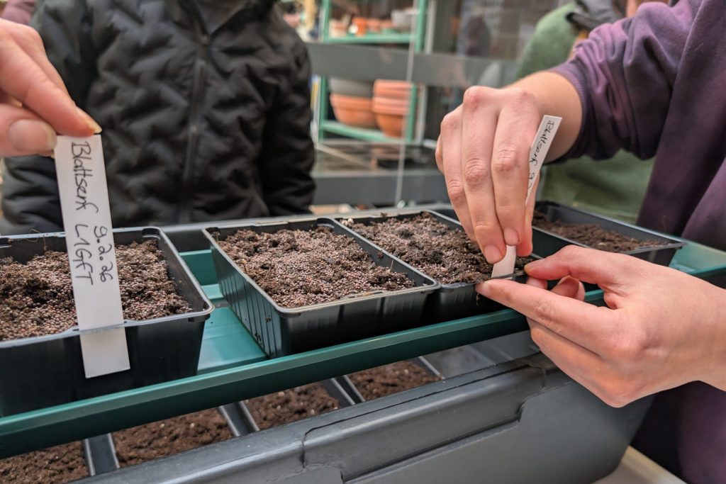 Smartes Greenhouse in Heidelberg