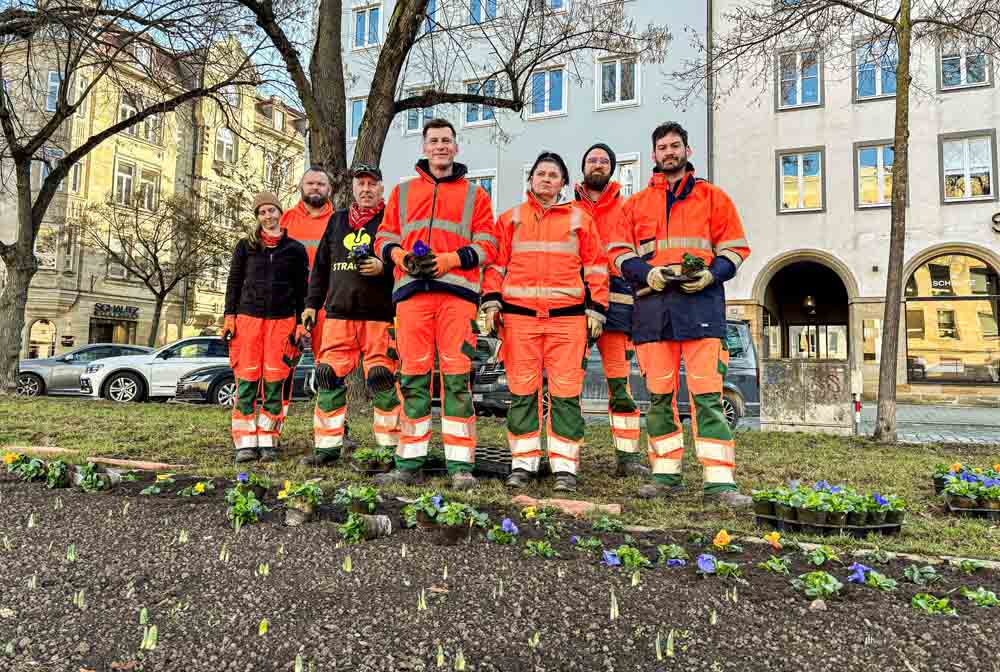 Neu gepflanzte Blumen