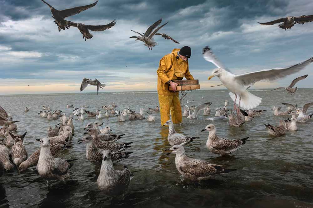 Mann von Möwen umzingelt