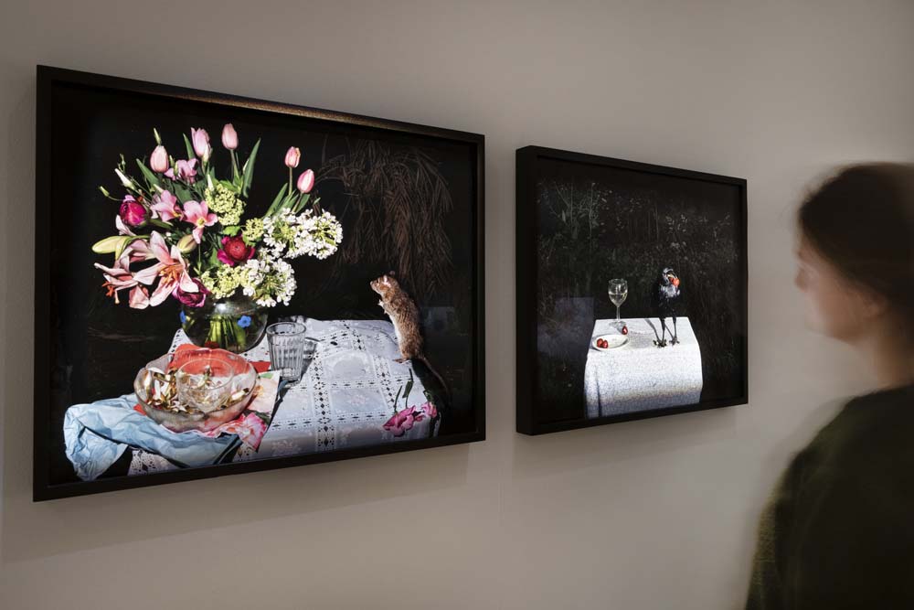 Blick in die Fotoausstellung „Plates I–XXXI" von Lia Darjes im Stadtmuseum Münster