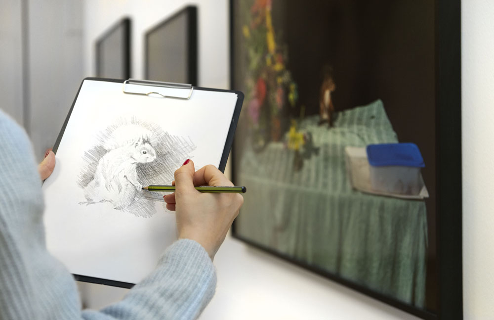 Frau zeichnet Eichhörnchen