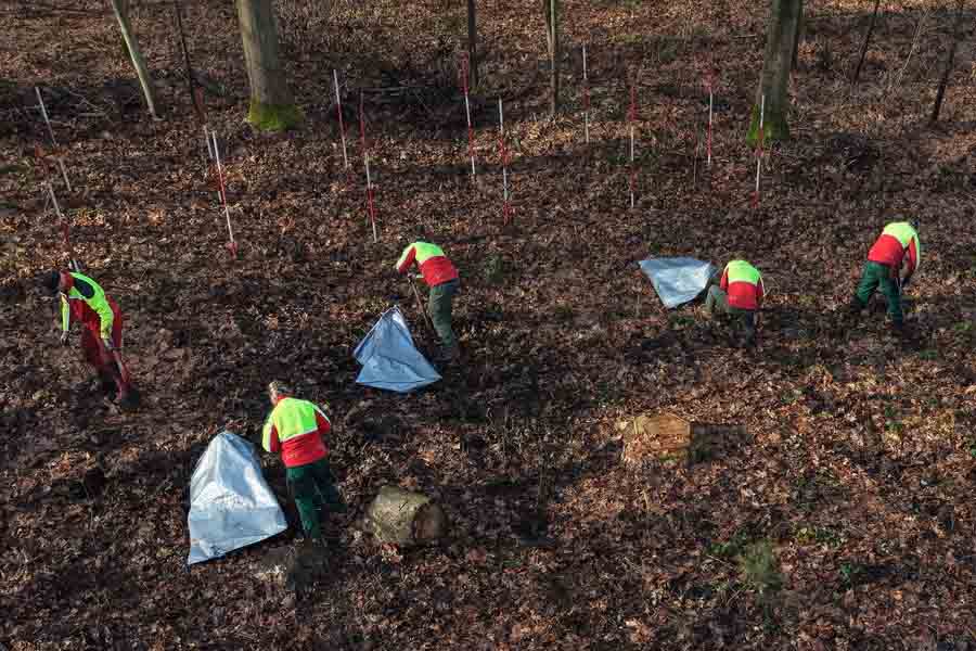 Menschen beim pflanzen von Bäumen