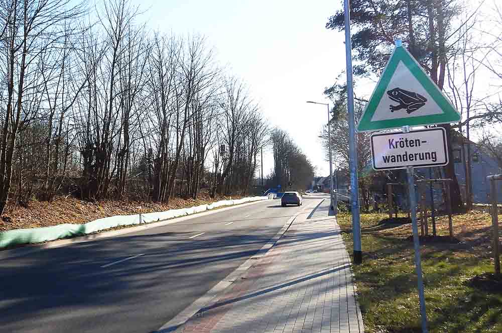 Krötenschutzzaun Rogahner Straße