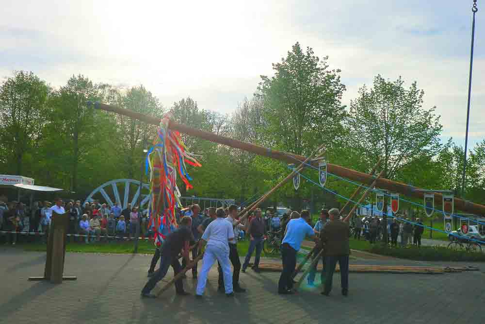 Maibaumaufstellen