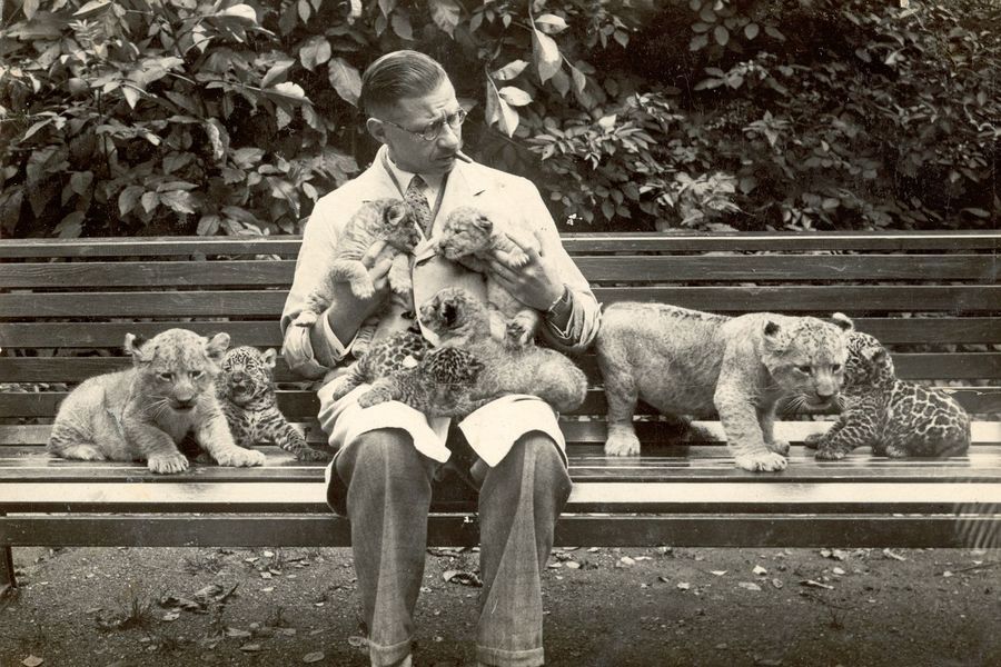 Zoodirektor Dr. Aulmann mit jungen Raubkatzen in den 1920er-Jahren