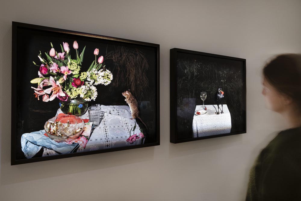 Frau betrachtet Bilder der Ausstellung