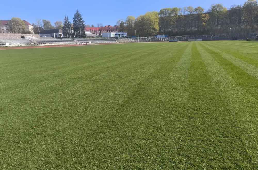 Neu verlegter Rasen im Stadion Lambrechtsgrund