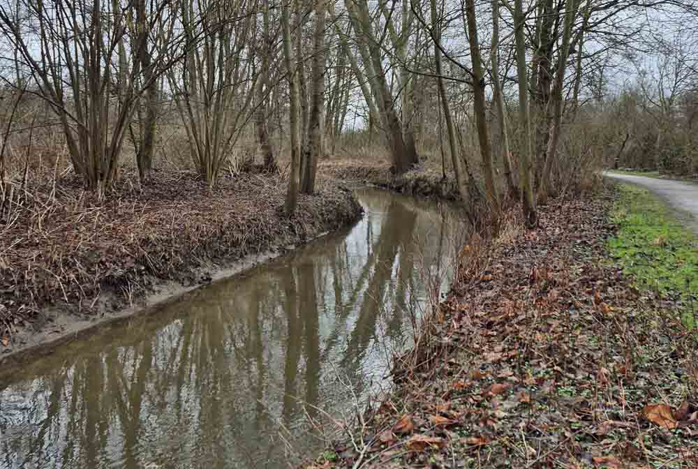 Öffentliche Gewässerschau am Schwarzbach