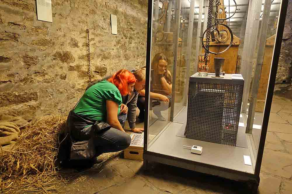 Teilnehmer im Escape-Room