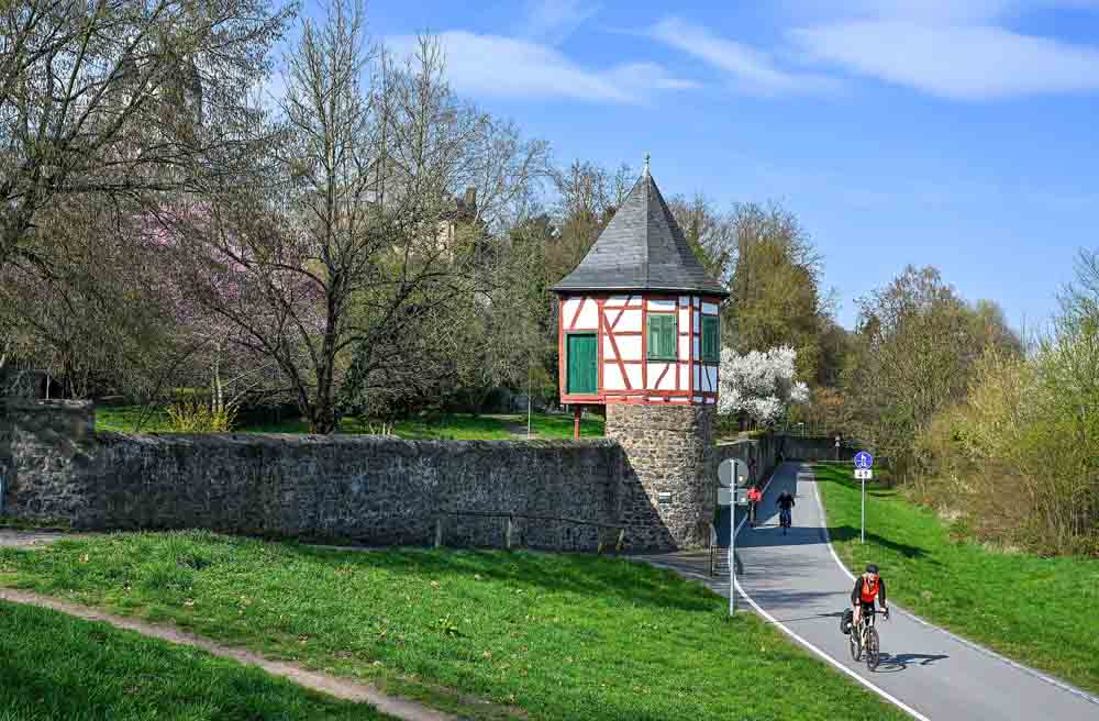 Blick auf den Stadtteil Steinheim