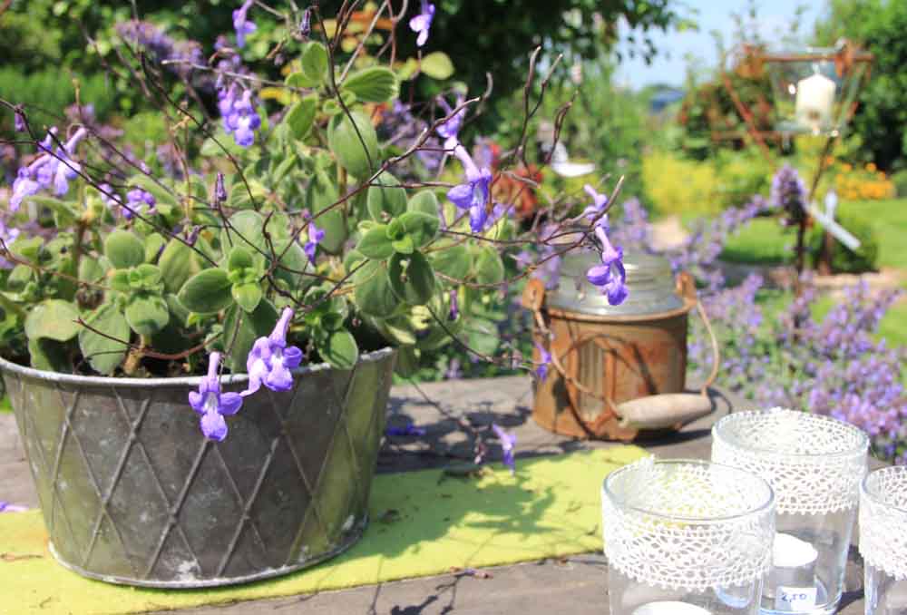 Symbolbild eines Gartens mit Blume und Deko auf einem Gartentisch