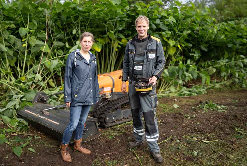Caroline Bücher, Geschäftsbereich Stadtgrün und Umwelt bei der Stadt Bocholt, und Jan Finke, Geschäftsführer der beauftragten Landschaft und Umwelt GmbH, vor dem Riesenknöterich auf dem Gelände am Ostring
