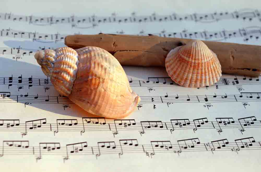 Muscheln liegen auf einem Notenblatt