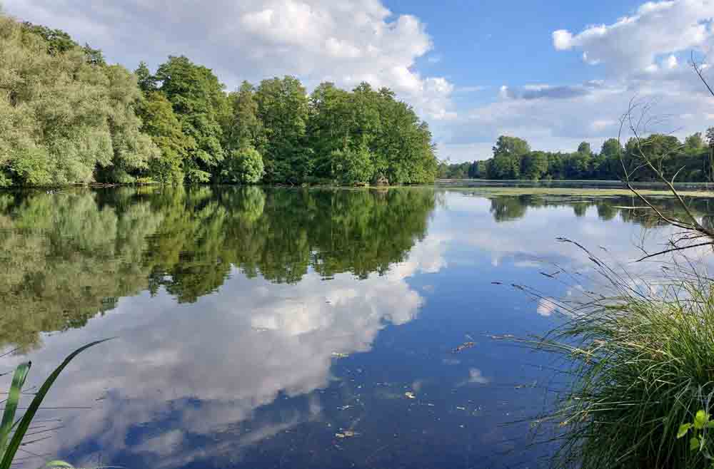 Blick auf De Wittsee