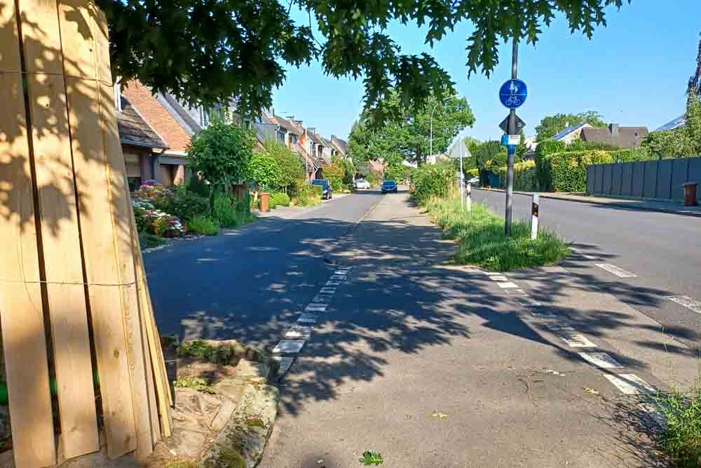 Blick auf den Radweg der Kreisstraße 19