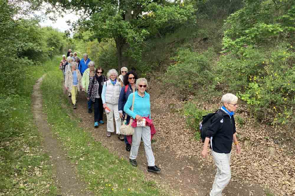 Gruppe von Senioren beim Wandern