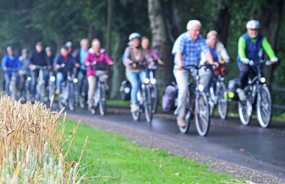 Mehrere Radfahrer bei einer Führung