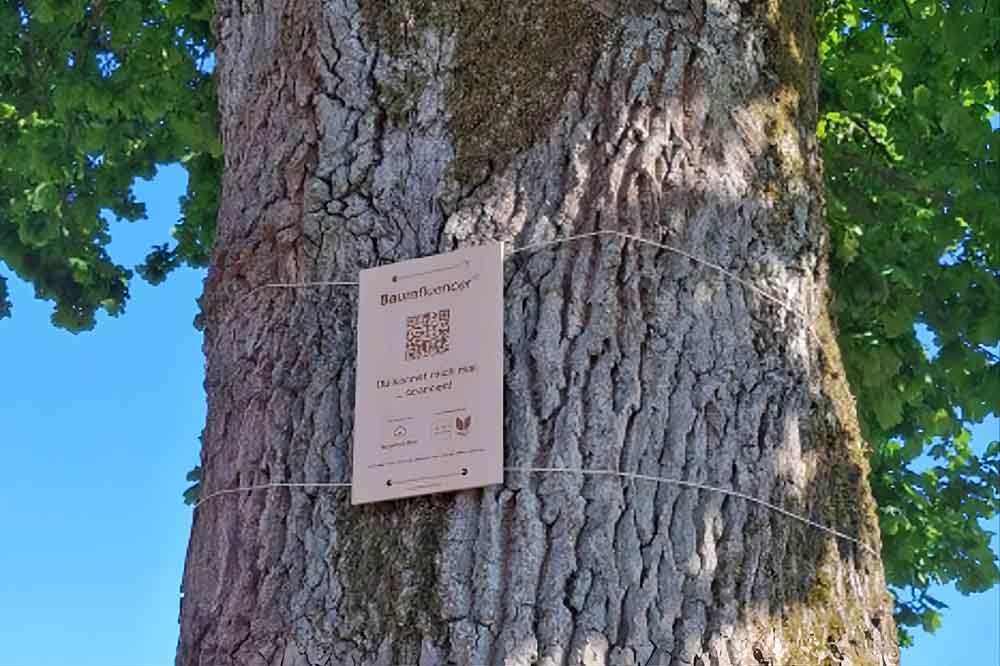 Baum mit Holzschild und QR-Code
