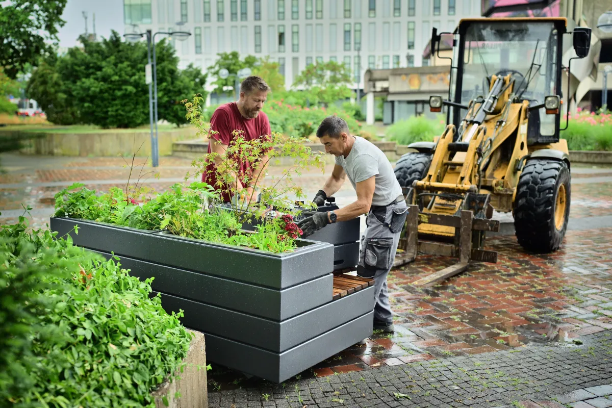 Arbeiter stellen mobiles Grünelement auf