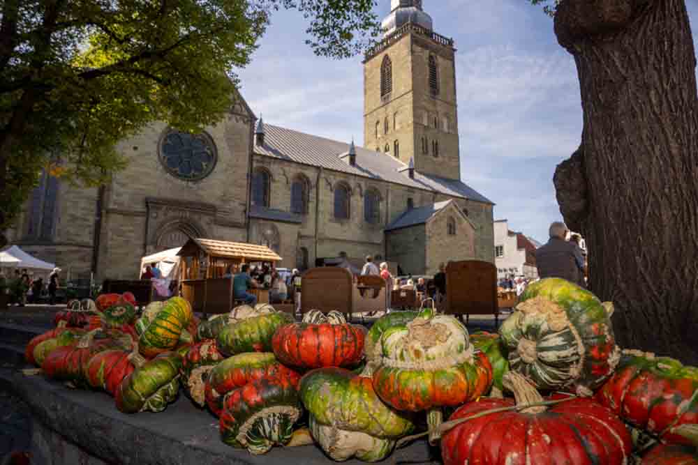 Bördebauernmarkt mit Kürbissen im Vordergrund