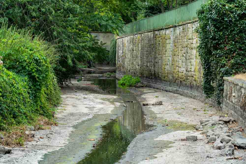 Blick auf die Aa mit wenig Wasser
