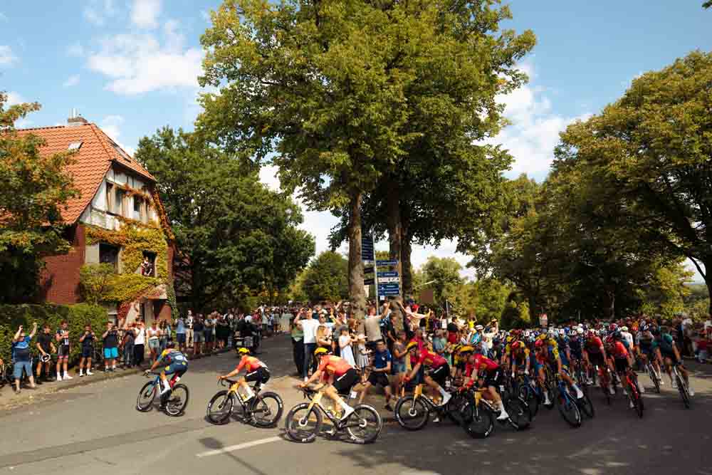 Fahrradpulk bei einem Radrennen