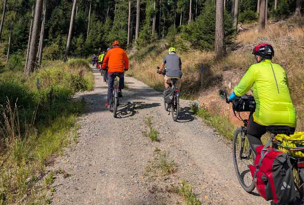 Radfahrer im Wald