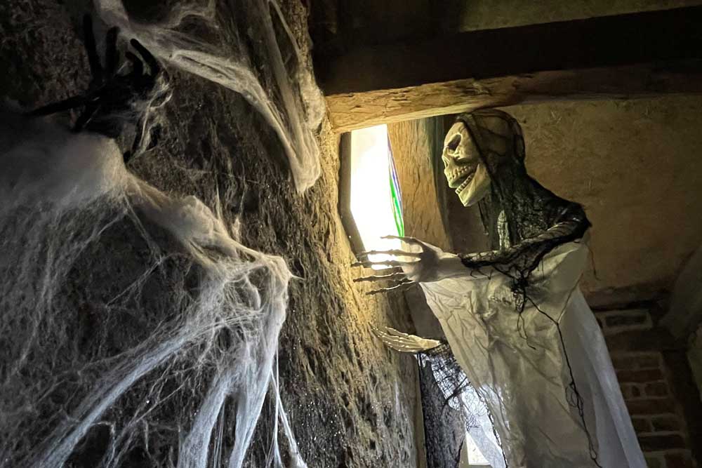 Halloween-Deko mit Skelett und Spinnenweben